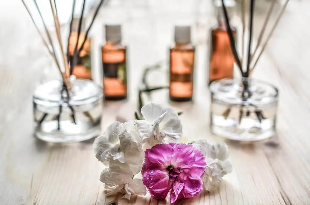 aromas para mejorar la concentración con feng shui