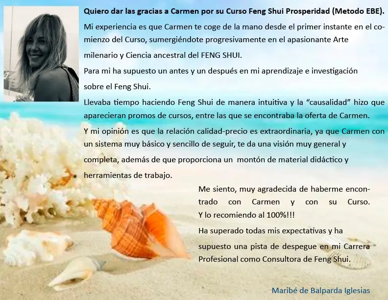 opinión curso feng shui