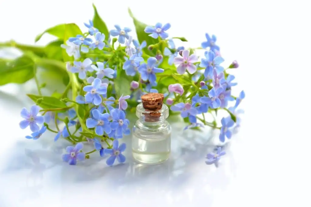 consejos-feng-shui-para-tus-vacaciones-aromas