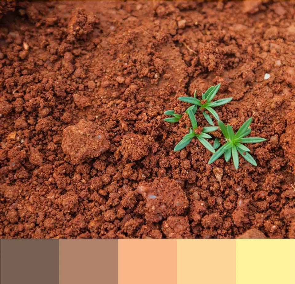 el-color-y-los-5-elementos-del-feng-shui-tierra