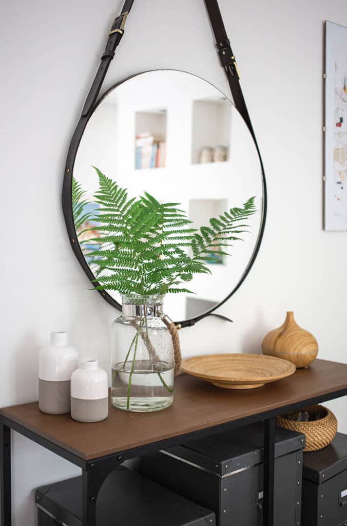 plantas-espejo